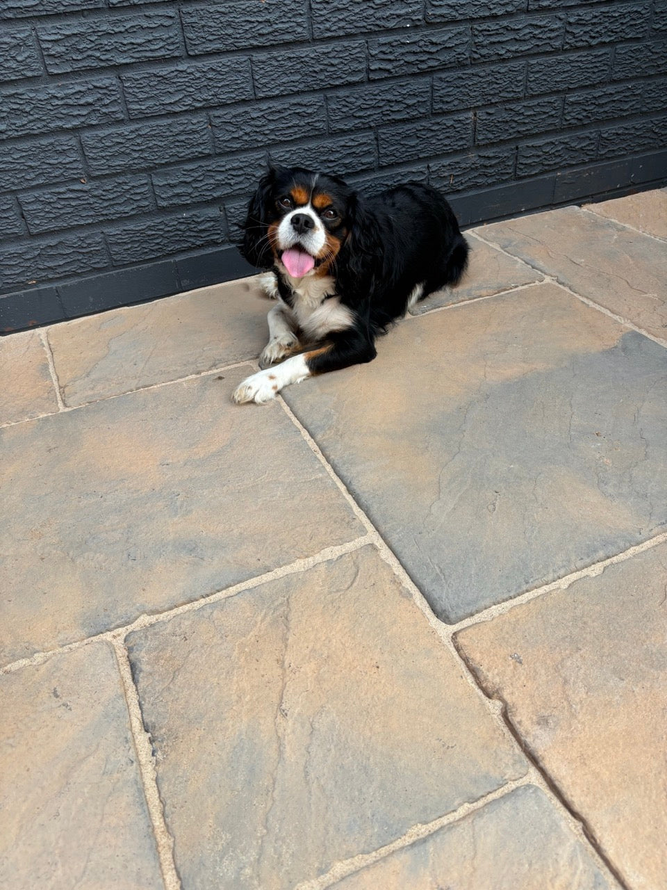pavement slab
paving slabs
slab pavers
patio slab
patio slabs
garden slabs
slabs for garden
cheap paving slabs
cheapest paving slabs
concrete slabs
paving slabs near me
garden paving
600 x 600 paving slabs